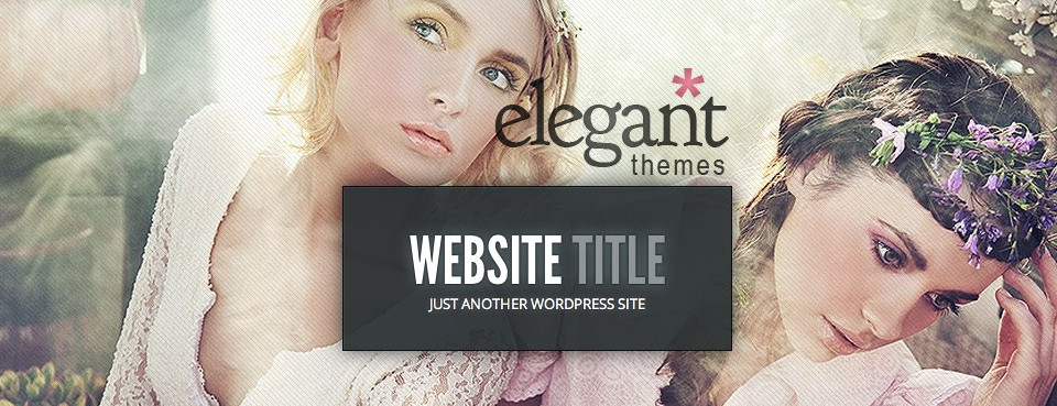 De beste WordPress themas ook voor webshops met Elegant Themes